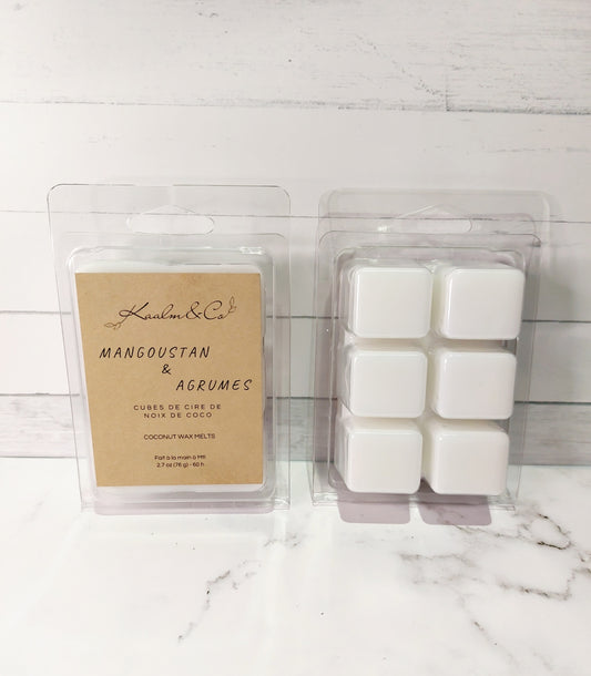 Cubes de cire - Mangoustan et Agrumes